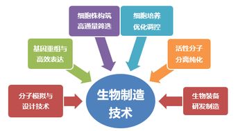 轻工技术与工程博士后科研流动站