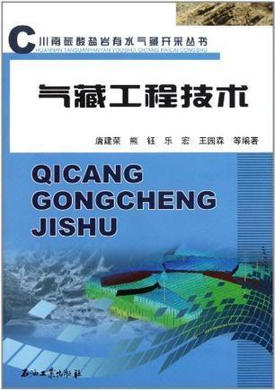 气藏工程技术