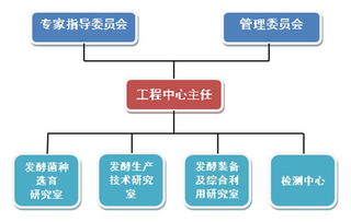酱油,食品公司,加加食品,调味食品,粮油食品,十大品牌食品,组织架构及岗位职责 酱油 食品公司 加加食品 调味食品 粮油食品 十大品牌食品 加加食品集团股份